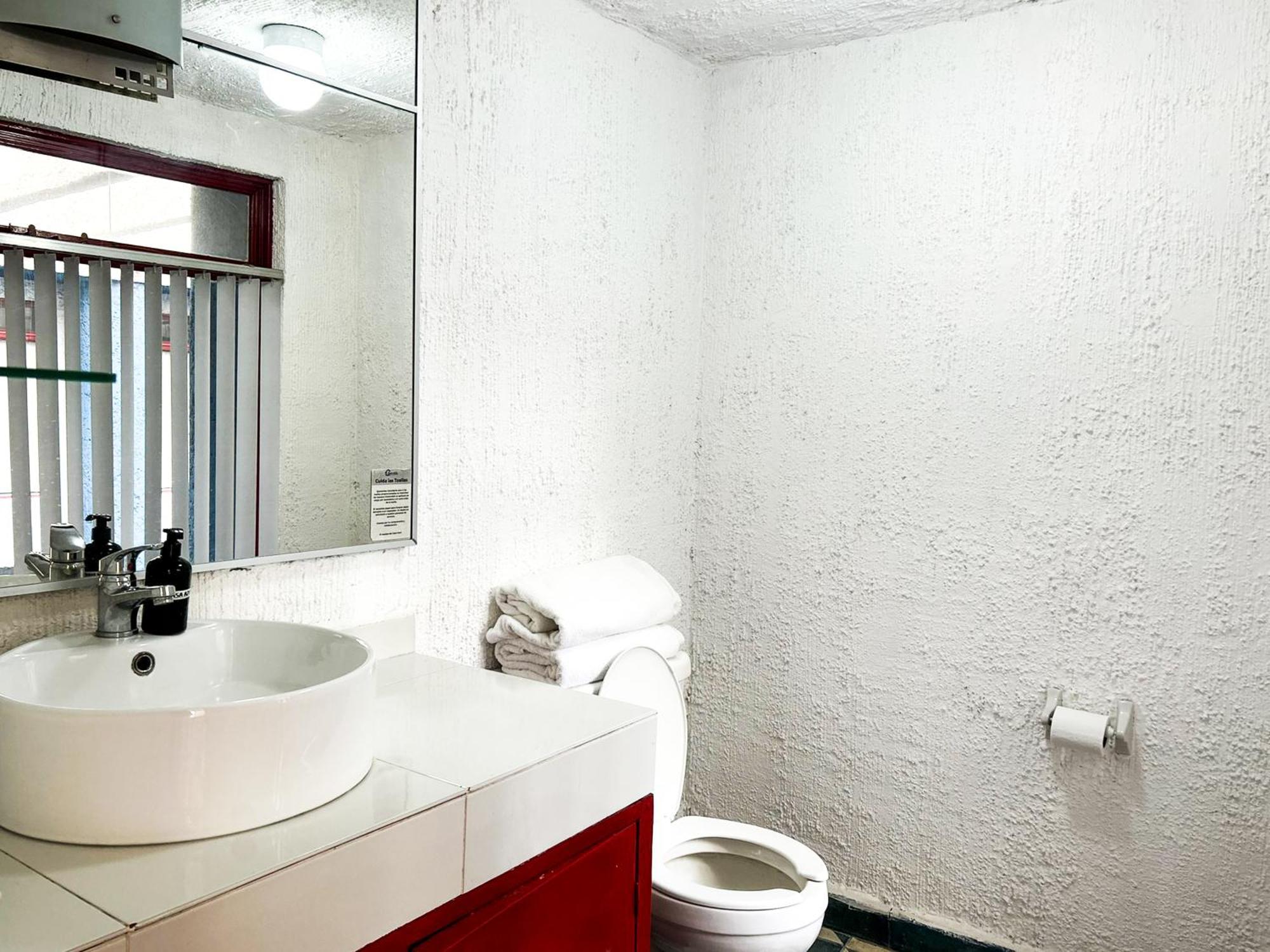 Апартаменти Lofts En Casa Azul Centro De Slp - Inmotega Сан-Луїс-Потосі Номер фото